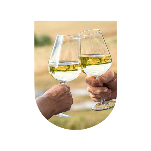 Glass of white wine